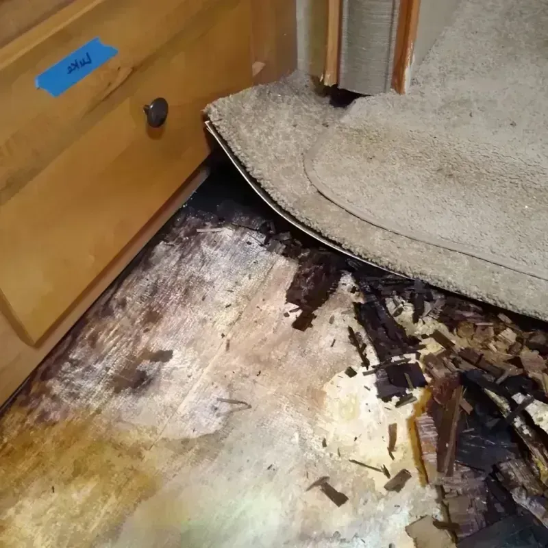 Wood Floor Water Damage in River Hills, WI